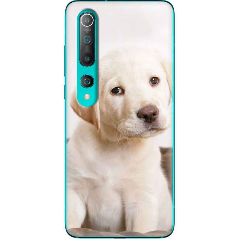 Чехол BoxFace Xiaomi Mi 10 Puppy Labrador