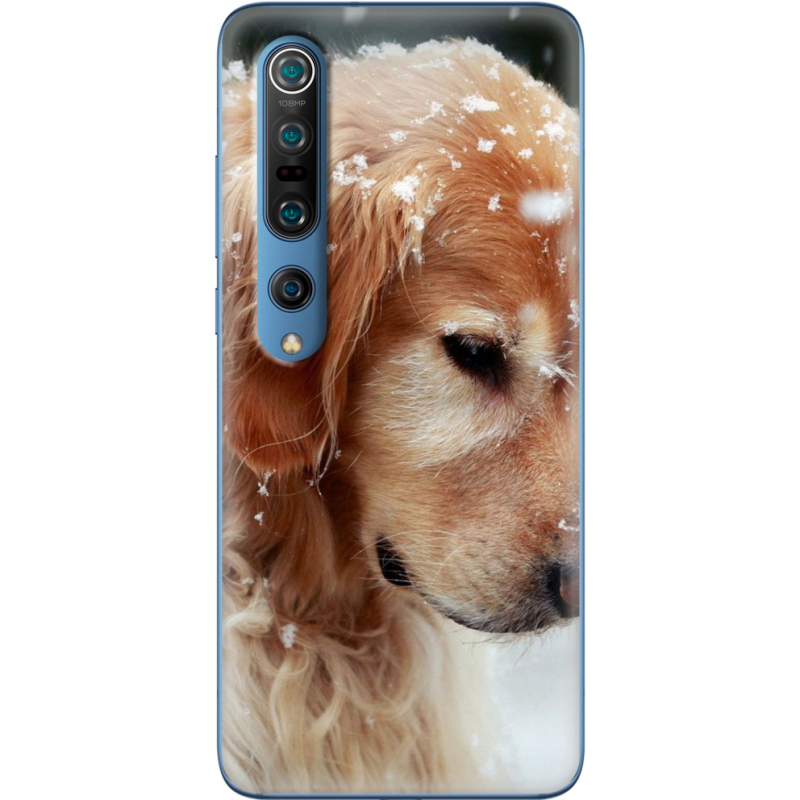 Чехол BoxFace Xiaomi Mi 10 Pro Golden Retriever