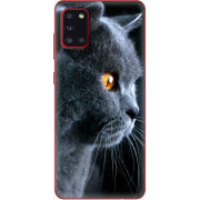 Чехол BoxFace Samsung A315 Galaxy A31 English cat