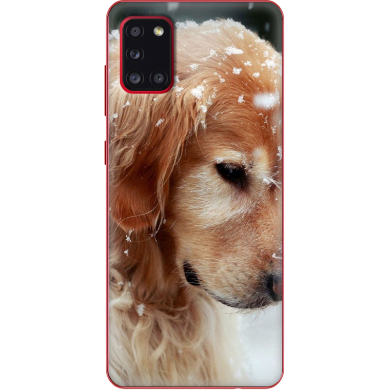 Чехол BoxFace Samsung A315 Galaxy A31 Golden Retriever