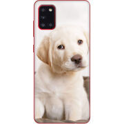 Чехол BoxFace Samsung A315 Galaxy A31 Puppy Labrador