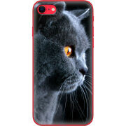 Чехол BoxFace Apple iPhone SE (2020) English cat