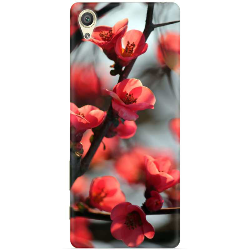 Чехол Uprint Sony Xperia X F5122 Awakening Spring