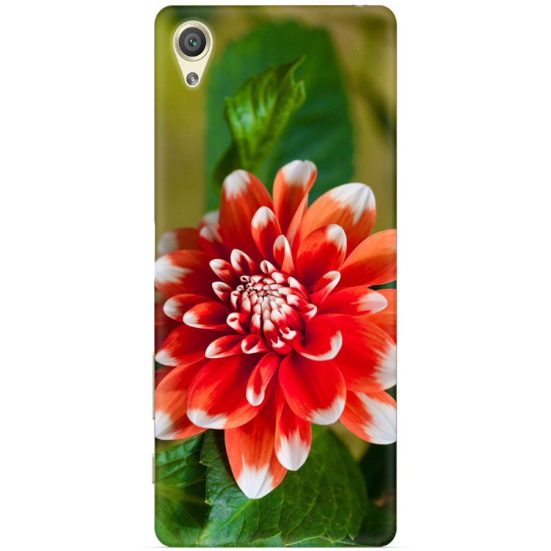 Чехол Uprint Sony Xperia X F5122 