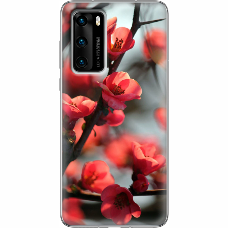 Чехол BoxFace Huawei P40 Awakening Spring