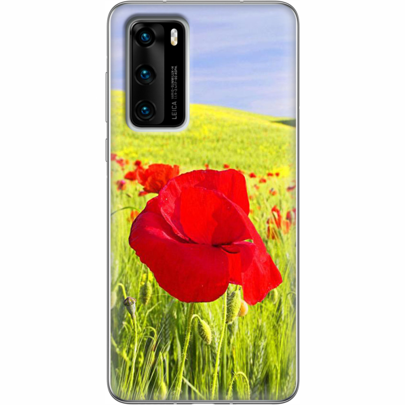 Чехол BoxFace Huawei P40 Мак