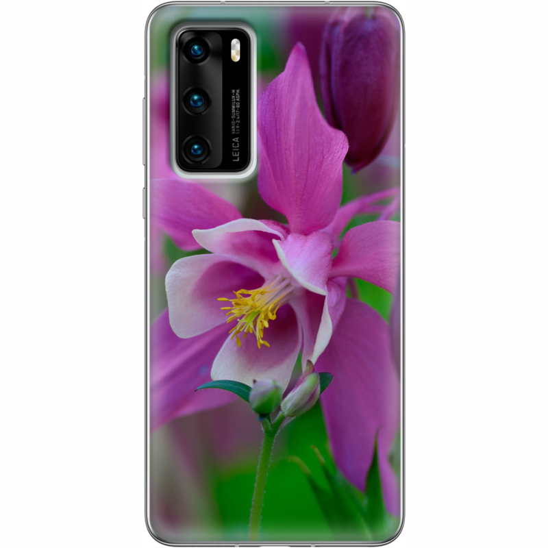 Чехол BoxFace Huawei P40 