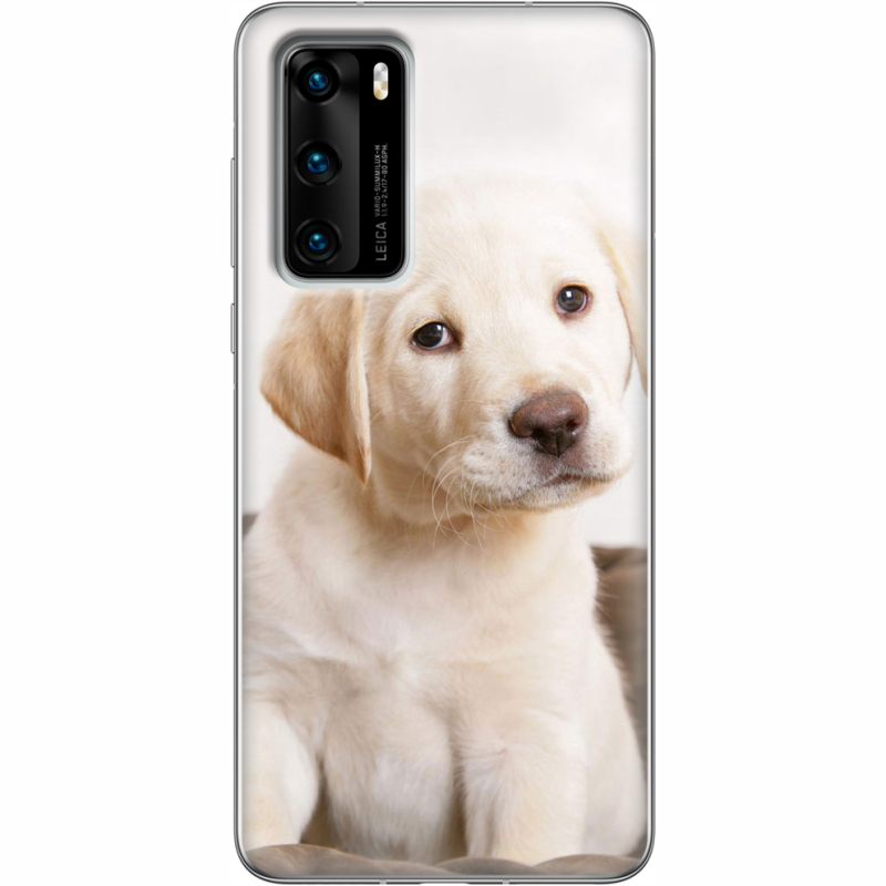 Чехол BoxFace Huawei P40 Puppy Labrador