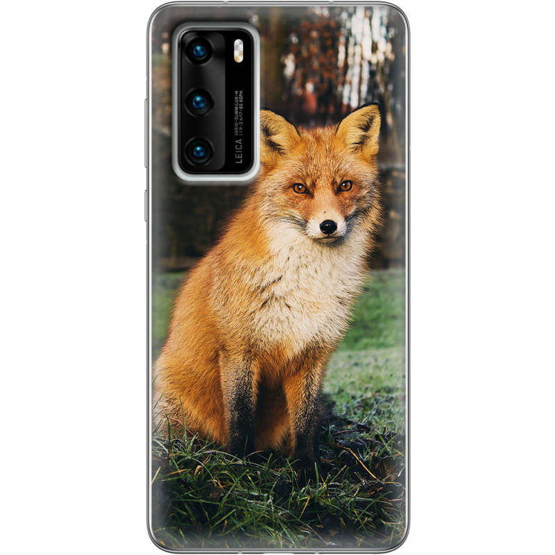 Чехол BoxFace Huawei P40 