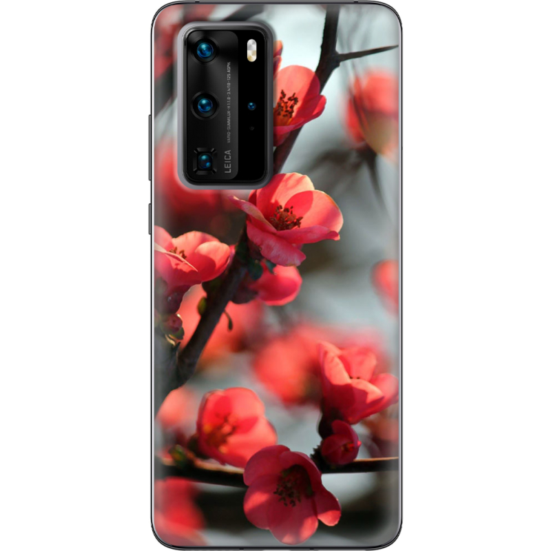 Чехол BoxFace Huawei P40 Pro Awakening Spring