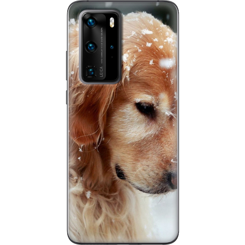 Чехол BoxFace Huawei P40 Pro Golden Retriever