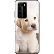 Чехол BoxFace Huawei P40 Pro Puppy Labrador