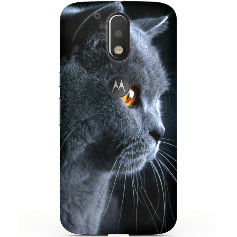 Чехол Uprint Motorola Moto G4 XT1622 English cat