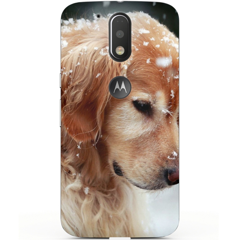 Чехол Uprint Motorola Moto G4 XT1622 Golden Retriever