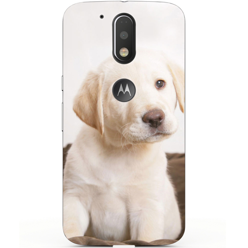 Чехол Uprint Motorola Moto G4 XT1622 Puppy Labrador