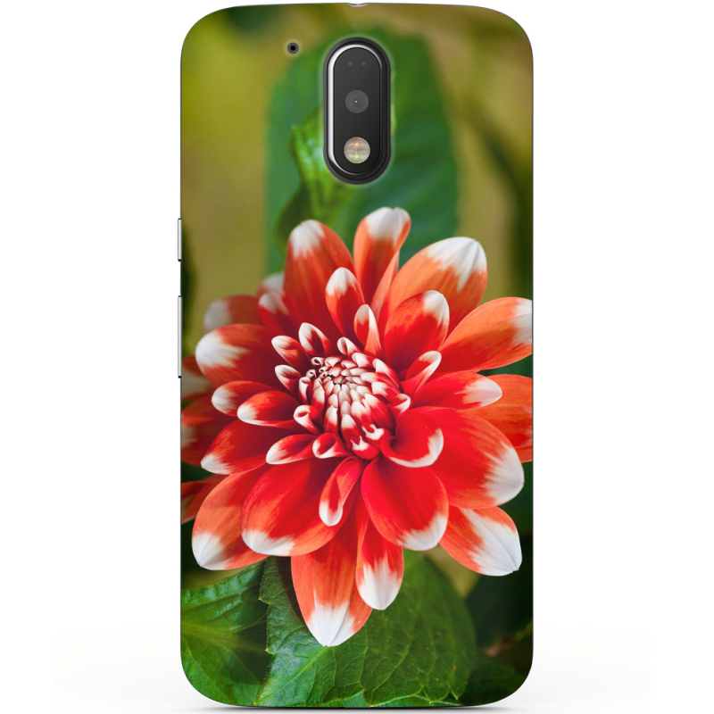 Чехол Uprint Motorola Moto G4 Plus XT1642 