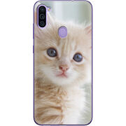 Чехол BoxFace Samsung Galaxy M11 (M115) Animation Kittens