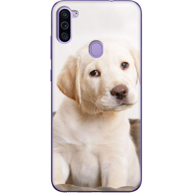 Чехол BoxFace Samsung Galaxy M11 (M115) Puppy Labrador