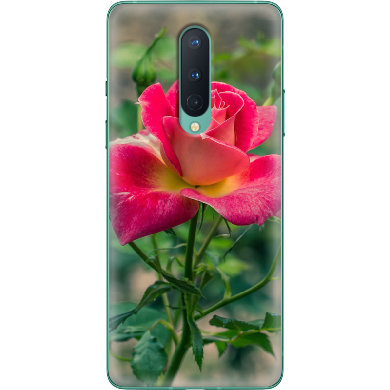 Чехол BoxFace OnePlus 8 