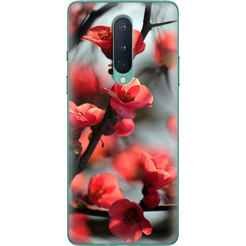 Чехол BoxFace OnePlus 8 Awakening Spring