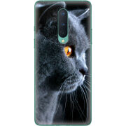 Чехол BoxFace OnePlus 8 English cat