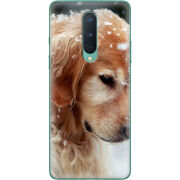 Чехол BoxFace OnePlus 8 Golden Retriever