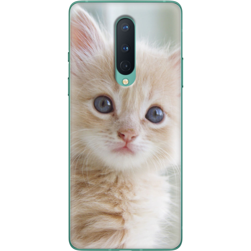 Чехол BoxFace OnePlus 8 Animation Kittens