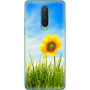 Чехол BoxFace OnePlus 8 Sunflower Heaven