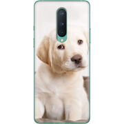 Чехол BoxFace OnePlus 8 Puppy Labrador