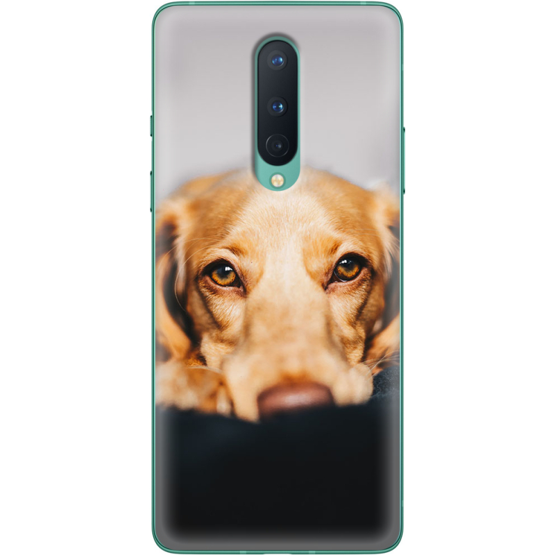 Чехол BoxFace OnePlus 8 