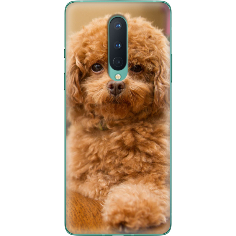 Чехол BoxFace OnePlus 8 