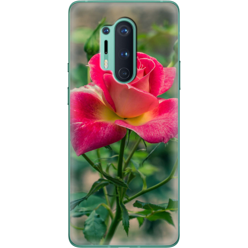 Чехол BoxFace OnePlus 8 Pro 