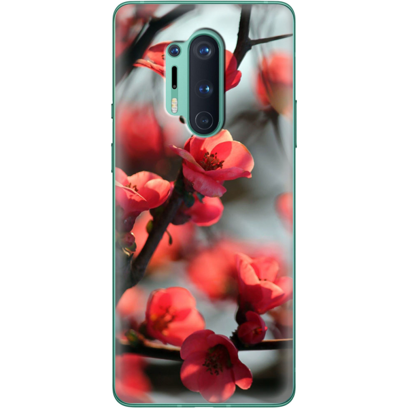 Чехол BoxFace OnePlus 8 Pro Awakening Spring