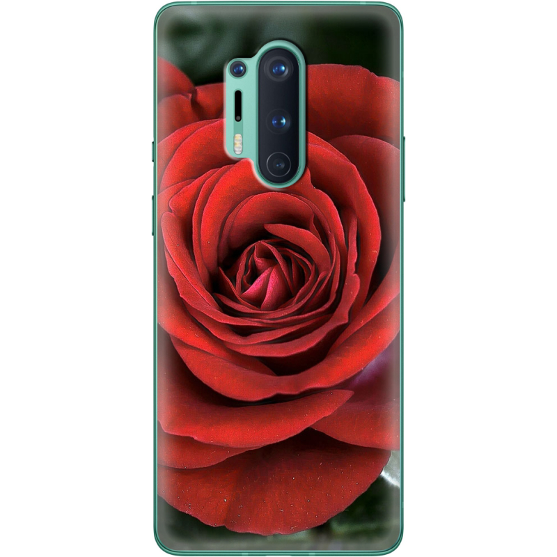 Чехол BoxFace OnePlus 8 Pro 