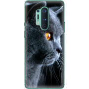 Чехол BoxFace OnePlus 8 Pro English cat