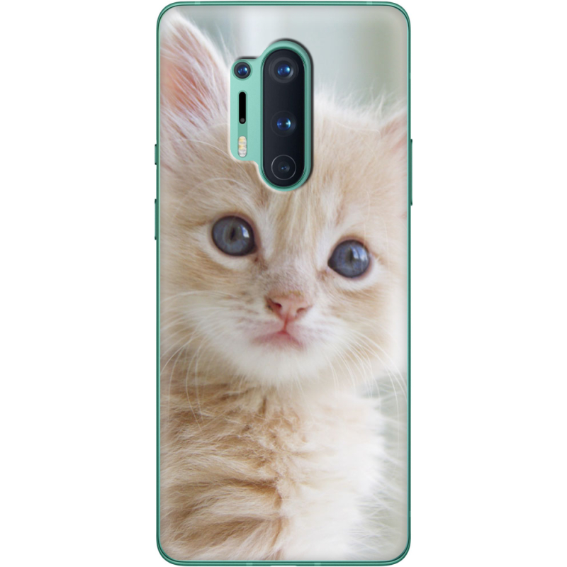 Чехол BoxFace OnePlus 8 Pro Animation Kittens