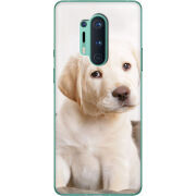 Чехол BoxFace OnePlus 8 Pro Puppy Labrador