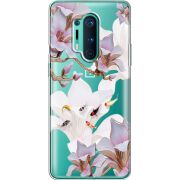 Прозрачный чехол BoxFace OnePlus 8 Pro Chinese Magnolia