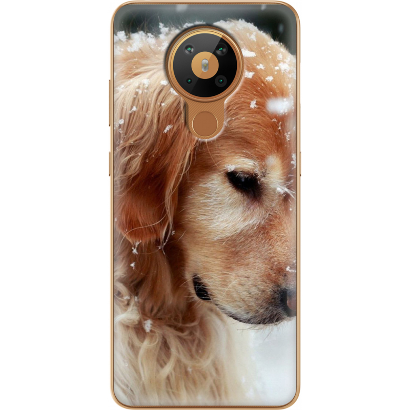 Чехол BoxFace Nokia 5.3 Golden Retriever