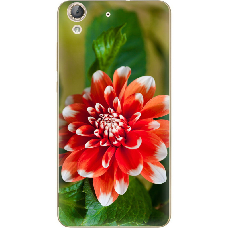 Чехол Uprint Huawei Y6 2 