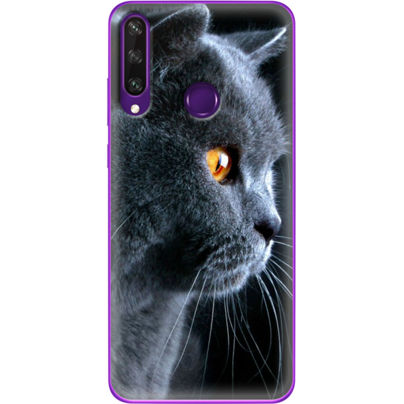 Чехол BoxFace Huawei Y6p English cat