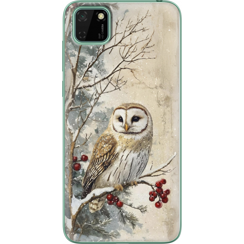 Чехол BoxFace Huawei Y5p Christmas Owl