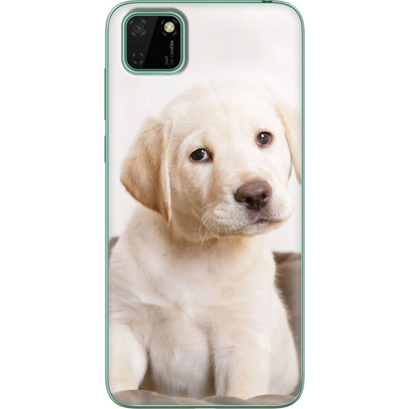 Чехол BoxFace Huawei Y5p Puppy Labrador