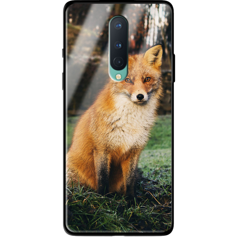 Защитный чехол BoxFace Glossy Panel OnePlus 8 