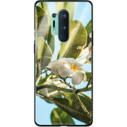 Защитный чехол BoxFace Glossy Panel OnePlus 8 Pro 