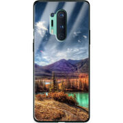 Защитный чехол BoxFace Glossy Panel OnePlus 8 Pro 