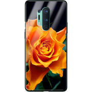 Защитный чехол BoxFace Glossy Panel OnePlus 8 Pro 