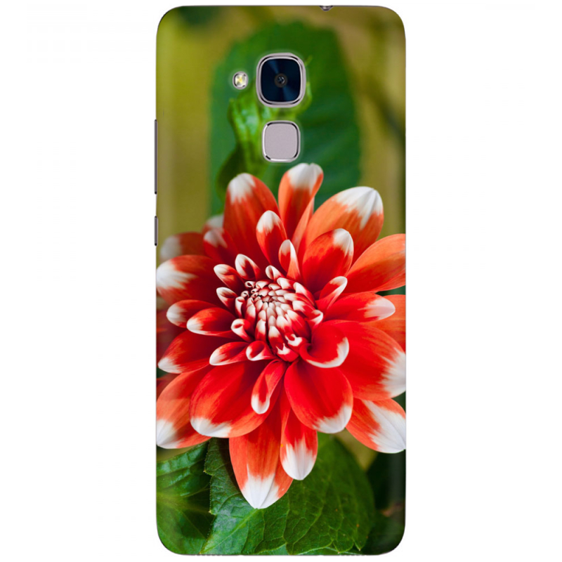 Чехол Uprint Huawei Honor 5C 