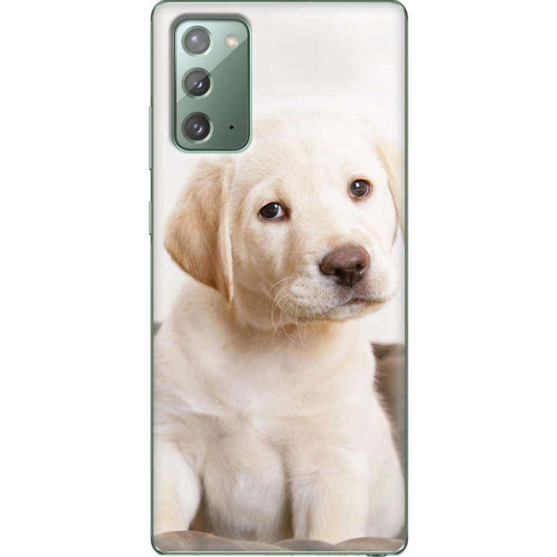 Чехол BoxFace Samsung N980 Galaxy Note 20 Puppy Labrador