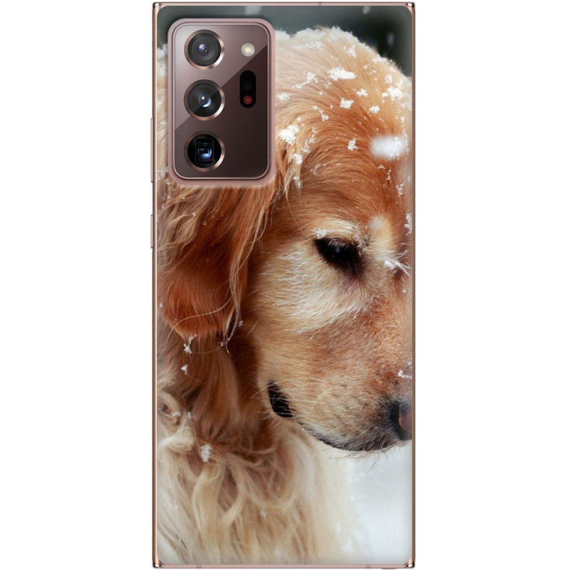 Чехол BoxFace Samsung N985 Galaxy Note 20 Ultra Golden Retriever